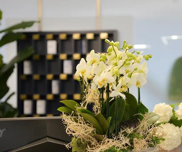 Renania ביביונה